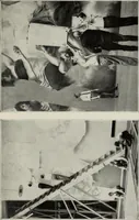 Picture 6 of 50 from Mural painting in America; the Scammon lectures, delivered before the Art institute of Chicago, March, 1912, and since greatly enlarged, by Edwin Howland Blashfield; (1913), leaf 52