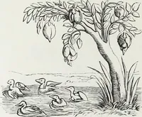 Picture 90 of 388 from Mœurs, usages et costumes au moyen âge : et à l'époque de la renaissance (1874), leaf 157