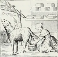 An illustration from Mœurs, usages et costumes au moyen âge : et à l'époque de la renaissance (1874)
