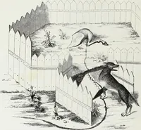 An illustration from Mœurs, usages et costumes au moyen âge : et à l'époque de la renaissance (1874)