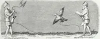 Picture 147 of 388 from Mœurs, usages et costumes au moyen âge : et à l'époque de la renaissance (1874), leaf 242