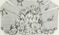 Picture 157 of 388 from Mœurs, usages et costumes au moyen âge : et à l'époque de la renaissance (1874), leaf 256