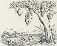 Picture 91 of 388 from Mœurs, usages et costumes au moyen âge et à l'époque de la renaissance (1872), leaf 157