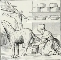 Picture 98 of 388 from Mœurs, usages et costumes au moyen âge et à l'époque de la renaissance (1872), leaf 171