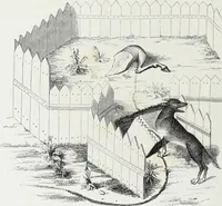 Picture 139 of 388 from Mœurs, usages et costumes au moyen âge et à l'époque de la renaissance (1872), leaf 233