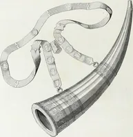 Picture 141 of 388 from Mœurs, usages et costumes au moyen âge et à l'époque de la renaissance (1872), leaf 235