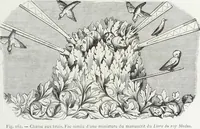 Picture 158 of 388 from Mœurs, usages et costumes au moyen âge et à l'époque de la renaissance (1872), leaf 256