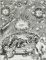 Picture 174 of 388 from Mœurs, usages et costumes au moyen âge et à l'époque de la renaissance (1872), leaf 278