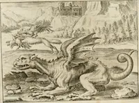An illustration from Musaeum hermeticum, reformatum et amplificatum : omnes sopho-spagyricae artis discipulos fidelissimè erudiens, quo pacto summa illa veraque lapidis philosophici medicina, qua res omnes qualemcunque defectum patientes, instaurantur, inveniri & haberi queat : continens tractatus chimicos XXI. praestantissimos .. (1678)