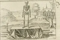 Picture 42 of 67 from Musaeum hermeticum, reformatum et amplificatum : omnes sopho-spagyricae artis discipulos fidelissimè erudiens, quo pacto summa illa veraque lapidis philosophici medicina, qua res omnes qualemcunque defectum patientes, instaurantur, inveniri & haberi queat : continens tractatus chimicos XXI. praestantissimos .. (1678), leaf 417