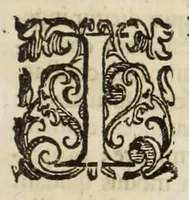 Picture 54 of 56 from Musaeum historicum et physicum (1640), leaf 241