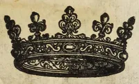 Picture 8 of 56 from Musaeum historicum et physicum (1640), leaf 27