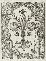 Picture 56 of 56 from Musaeum historicum et physicum (1640), leaf 478