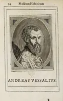 Picture 17 of 56 from Musaeum historicum et physicum (1640), leaf 70