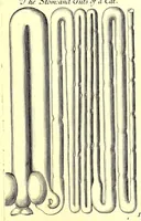 An illustration from Musaeum Regalis Societatis, or, A catalogue & description of the natural and artificial rarities belonging to the Royal Society and preserved at Gresham Colledge (1681)