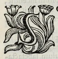 An illustration from Musaeum Septalianum : Manfredi Septalae patritij Mediolanensis industrioso labore constructum (1664)