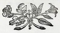 An illustration from Musarum plausus Perusii in augusto D. Petri Monast.o Congregationis Casinensis ad anni MDCXLIII generalia patrum comitia excitatus (1643)