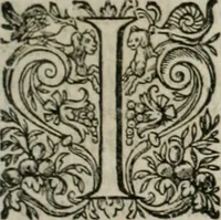An illustration from Musei, siue Bibliothecae tam priuatae quàm publicae extructio, instructio, cura, vsus libri IV : accessit accurata descriptio Regiae bibliothecae S. Laurentii Escurialis : insuper Paraenesis allegorica ad amorem literarum : opus multiplici eruditione sacra simul et humana refertum, praeceptis moralibus et literariis, architecturae et picturae subiectionibus, inscriptionibus et emblematis, antiquitatis philologicae monumentis, atque oratoriis schematis utiliter et amoene tessellatum (1635)