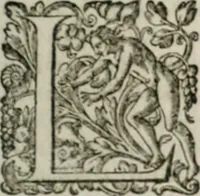 An illustration from Musei, siue Bibliothecae tam priuatae quàm publicae extructio, instructio, cura, vsus libri IV : accessit accurata descriptio Regiae bibliothecae S. Laurentii Escurialis : insuper Paraenesis allegorica ad amorem literarum : opus multiplici eruditione sacra simul et humana refertum, praeceptis moralibus et literariis, architecturae et picturae subiectionibus, inscriptionibus et emblematis, antiquitatis philologicae monumentis, atque oratoriis schematis utiliter et amoene tessellatum (1635)