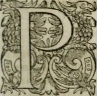 An illustration from Musei, siue Bibliothecae tam priuatae quàm publicae extructio, instructio, cura, vsus libri IV : accessit accurata descriptio Regiae bibliothecae S. Laurentii Escurialis : insuper Paraenesis allegorica ad amorem literarum : opus multiplici eruditione sacra simul et humana refertum, praeceptis moralibus et literariis, architecturae et picturae subiectionibus, inscriptionibus et emblematis, antiquitatis philologicae monumentis, atque oratoriis schematis utiliter et amoene tessellatum (1635)