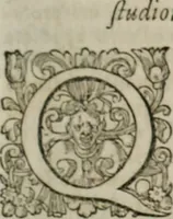 An illustration from Musei, siue Bibliothecae tam priuatae quàm publicae extructio, instructio, cura, vsus libri IV : accessit accurata descriptio Regiae bibliothecae S. Laurentii Escurialis : insuper Paraenesis allegorica ad amorem literarum : opus multiplici eruditione sacra simul et humana refertum, praeceptis moralibus et literariis, architecturae et picturae subiectionibus, inscriptionibus et emblematis, antiquitatis philologicae monumentis, atque oratoriis schematis utiliter et amoene tessellatum (1635)