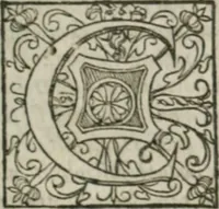 An illustration from Musei, siue Bibliothecae tam priuatae quàm publicae extructio, instructio, cura, vsus libri IV : accessit accurata descriptio Regiae bibliothecae S. Laurentii Escurialis : insuper Paraenesis allegorica ad amorem literarum : opus multiplici eruditione sacra simul et humana refertum, praeceptis moralibus et literariis, architecturae et picturae subiectionibus, inscriptionibus et emblematis, antiquitatis philologicae monumentis, atque oratoriis schematis utiliter et amoene tessellatum (1635)