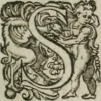 An illustration from Musei, siue Bibliothecae tam priuatae quàm publicae extructio, instructio, cura, vsus libri IV : accessit accurata descriptio Regiae bibliothecae S. Laurentii Escurialis : insuper Paraenesis allegorica ad amorem literarum : opus multiplici eruditione sacra simul et humana refertum, praeceptis moralibus et literariis, architecturae et picturae subiectionibus, inscriptionibus et emblematis, antiquitatis philologicae monumentis, atque oratoriis schematis utiliter et amoene tessellatum (1635)