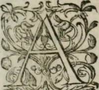 An illustration from Musei, siue Bibliothecae tam priuatae quàm publicae extructio, instructio, cura, vsus libri IV : accessit accurata descriptio Regiae bibliothecae S. Laurentii Escurialis : insuper Paraenesis allegorica ad amorem literarum : opus multiplici eruditione sacra simul et humana refertum, praeceptis moralibus et literariis, architecturae et picturae subiectionibus, inscriptionibus et emblematis, antiquitatis philologicae monumentis, atque oratoriis schematis utiliter et amoene tessellatum (1635)