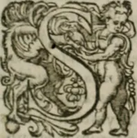 Picture 22 of 27 from Musei, siue Bibliothecae tam priuatae quàm publicae extructio, instructio, cura, vsus libri IV : accessit accurata descriptio Regiae bibliothecae S. Laurentii Escurialis : insuper Paraenesis allegorica ad amorem literarum : opus multiplici eruditione sacra simul et humana refertum, praeceptis moralibus et literariis, architecturae et picturae subiectionibus, inscriptionibus et emblematis, antiquitatis philologicae monumentis, atque oratoriis schematis utiliter et amoene tessellatum (1635), leaf 664