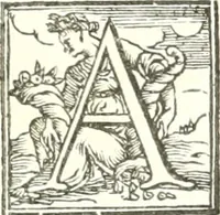 An illustration from Museo capitolino, o sia, Descrizione delle statue, busti, bassirilievi, urne sepolcrali, iscrizioni, ed altre ammirabili, ed erudite antichità, che si custodiscono nel palazzo alla destra del Senatorio vicino alla chiesa d'Araceli in Campidoglio (1750)