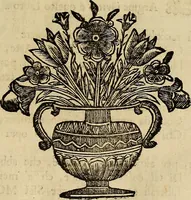 An illustration from Museo Cospiano : annesso a quello del famoso Vlisse Aldrovandi e donato alla sua patria dall' illustrissimo signor Ferdinando Cospi ..., fra' gli Accademici Gelati il Fedele, e principe al presente de' medesimi (1677)