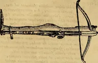 An illustration from Museo Cospiano : annesso a quello del famoso Vlisse Aldrovandi e donato alla sua patria dall' illustrissimo signor Ferdinando Cospi ..., fra' gli Accademici Gelati il Fedele, e principe al presente de' medesimi (1677)