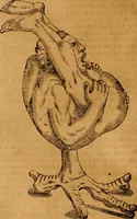 An illustration from Museo Cospiano : annesso a quello del famoso Vlisse Aldrovandi e donato alla sua patria dall' illustrissimo signor Ferdinando Cospi ..., fra' gli Accademici Gelati il Fedele, e principe al presente de' medesimi (1677)