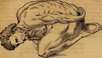An illustration from Museo Cospiano : annesso a quello del famoso Vlisse Aldrovandi e donato alla sua patria dall' illustrissimo signor Ferdinando Cospi ..., fra' gli Accademici Gelati il Fedele, e principe al presente de' medesimi (1677)