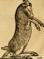 Picture 76 of 101 from Museo Cospiano : annesso a quello del famoso Vlisse Aldrovandi e donato alla sua patria dall' illustrissimo signor Ferdinando Cospi ..., fra' gli Accademici Gelati il Fedele, e principe al presente de' medesimi (1677), leaf 505