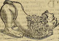 An illustration from Museo Cospiano : annesso a quello del famoso Vlisse Aldrovandi e donato alla sua patria dall' illustrissimo signor Ferdinando Cospi ..., fra' gli Accademici Gelati il Fedele, e principe al presente de' medesimi (1677)