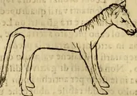 An illustration from Museo Cospiano : annesso a quello del famoso Vlisse Aldrovandi e donato alla sua patria dall' illustrissimo signor Ferdinando Cospi ..., fra' gli Accademici Gelati il Fedele, e principe al presente de' medesimi (1677)