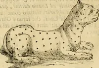 An illustration from Museo Cospiano : annesso a quello del famoso Vlisse Aldrovandi e donato alla sua patria dall' illustrissimo signor Ferdinando Cospi ..., fra' gli Accademici Gelati il Fedele, e principe al presente de' medesimi (1677)