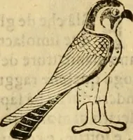 An illustration from Museo Cospiano : annesso a quello del famoso Vlisse Aldrovandi e donato alla sua patria dall' illustrissimo signor Ferdinando Cospi ..., fra' gli Accademici Gelati il Fedele, e principe al presente de' medesimi (1677)