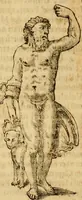 Picture 96 of 101 from Museo Cospiano : annesso a quello del famoso Vlisse Aldrovandi e donato alla sua patria dall' illustrissimo signor Ferdinando Cospi ..., fra' gli Accademici Gelati il Fedele, e principe al presente de' medesimi (1677), leaf 535