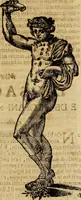 An illustration from Museo Cospiano : annesso a quello del famoso Vlisse Aldrovandi e donato alla sua patria dall' illustrissimo signor Ferdinando Cospi ..., fra' gli Accademici Gelati il Fedele, e principe al presente de' medesimi (1677)
