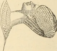 An illustration from Catalogue of the Museum and Gallery of Art of the New-York Historical Society, 1893 (1893)