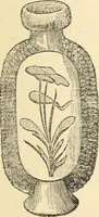 Picture 8 of 14 from Catalogue of the Museum and Gallery of Art of the New-York Historical Society, 1893 (1893), leaf 62