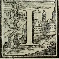 An illustration from Museum Cortonense : in quo vetera monumenta complectuntur anaglypha, thoreumata, gemmae inscalptae insculptaeque quae in Academia etrusca ceterisque nobilium virorum domibus adservantur, in plurimus tabulis aereis distributum (1750)