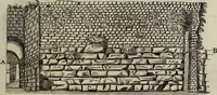 An illustration from Museum Cortonense : in quo vetera monumenta complectuntur anaglypha, thoreumata, gemmae inscalptae insculptaeque quae in Academia etrusca ceterisque nobilium virorum domibus adservantur, in plurimus tabulis aereis distributum (1750)