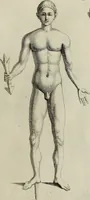 An illustration from Museum Cortonense : in quo vetera monumenta complectuntur anaglypha, thoreumata, gemmae inscalptae insculptaeque quae in Academia etrusca ceterisque nobilium virorum domibus adservantur, in plurimus tabulis aereis distributum (1750)