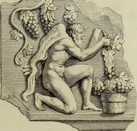 An illustration from Museum Cortonense : in quo vetera monumenta complectuntur anaglypha, thoreumata, gemmae inscalptae insculptaeque quae in Academia etrusca ceterisque nobilium virorum domibus adservantur, in plurimus tabulis aereis distributum (1750)