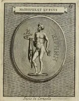 Picture 116 of 136 from Museum Cortonense : in quo vetera monumenta complectuntur anaglypha, thoreumata, gemmae inscalptae insculptaeque quae in Academia etrusca ceterisque nobilium virorum domibus adservantur, in plurimus tabulis aereis distributum (1750), leaf 276