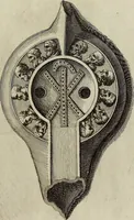 An illustration from Museum Cortonense : in quo vetera monumenta complectuntur anaglypha, thoreumata, gemmae inscalptae insculptaeque quae in Academia etrusca ceterisque nobilium virorum domibus adservantur, in plurimus tabulis aereis distributum (1750)