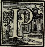 An illustration from Museum Cortonense : in quo vetera monumenta complectuntur anaglypha, thoreumata, gemmae inscalptae insculptaeque quae in Academia etrusca ceterisque nobilium virorum domibus adservantur, in plurimus tabulis aereis distributum (1750)